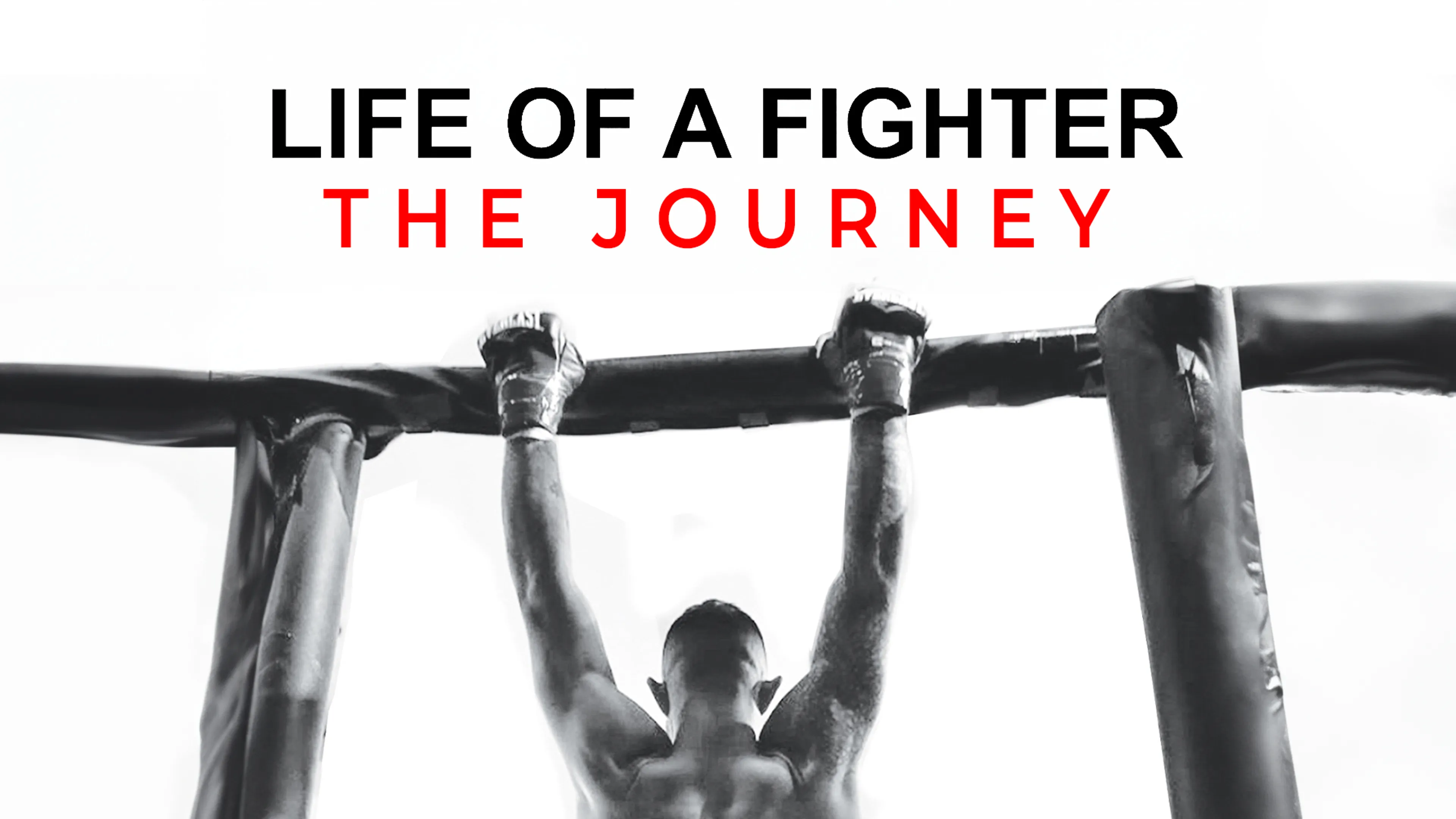 Life of a Fighter: The Journey poster